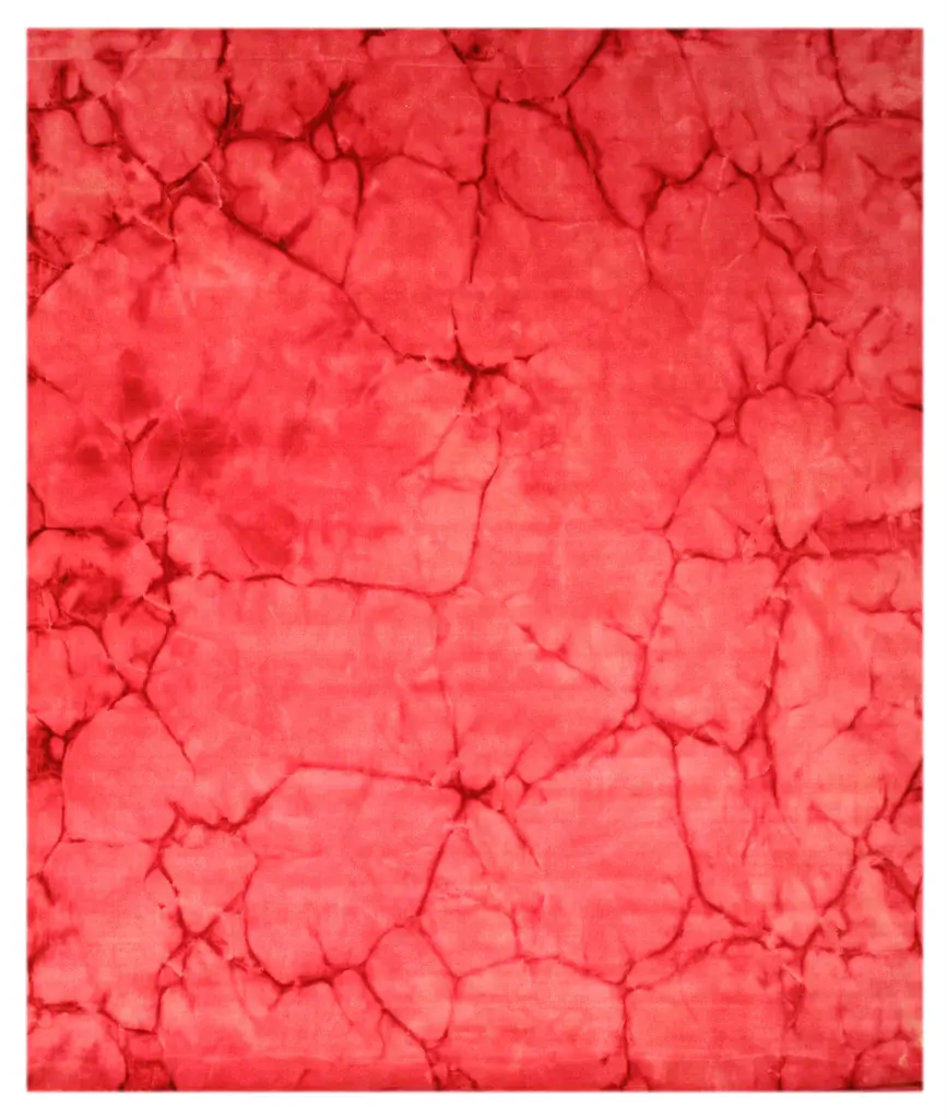EORC Eastern Rugs KA102PK3X5 3x5 ft. Handmade Wool Fiber Pink Contemporary Abstract Dip-Dyed Area Rug