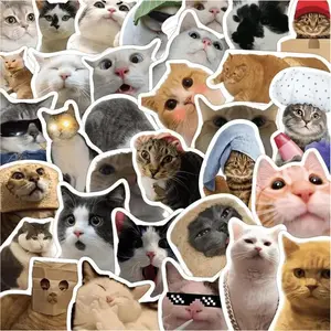 Cat Stickers,Funny Cat Meme, Kawaii for Adults,Waterproof Vinyl Stickers for Laptop Phone Guitar Water Bottles Luggage 50