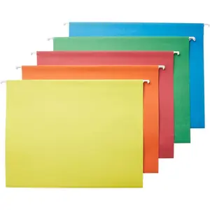 Hanging Organizer File Folders for Efficient Filing, Assorted Colors, Letter Size (Pack of 25)