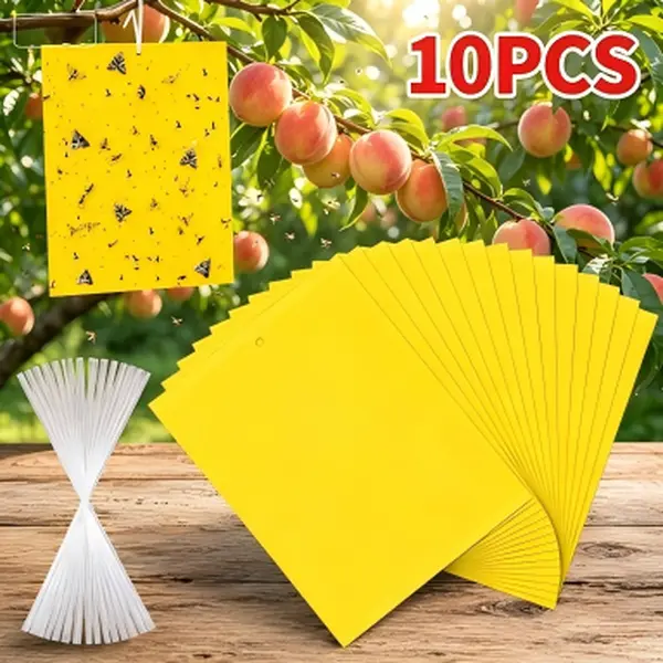 10Pack Yellow Sticky Traps Fruit Fly Trap, Double-Sided Fungus Gnat Trap | Gnats Sticky Trap for Plants, Insects Pest Catcher for Fungus Gnats, Fruit Fly, Moth, Flying Insects, Indoor & Outdoor Use