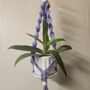 Purple spiral-style macrame plant hanger with silver ring for 2-inch pots, window decor
