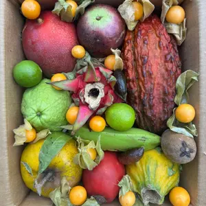 Variety Box