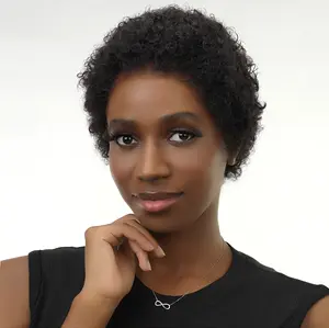 Dultev 13x6 Wear Go Pixie Cut Wigs 009 for Women 180% Density Glueless Lace Front Layered Luxury Beauty Curly HD Human Hair Wig