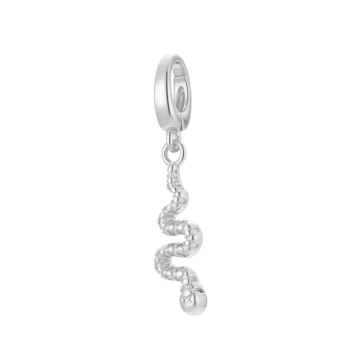Snake Charm