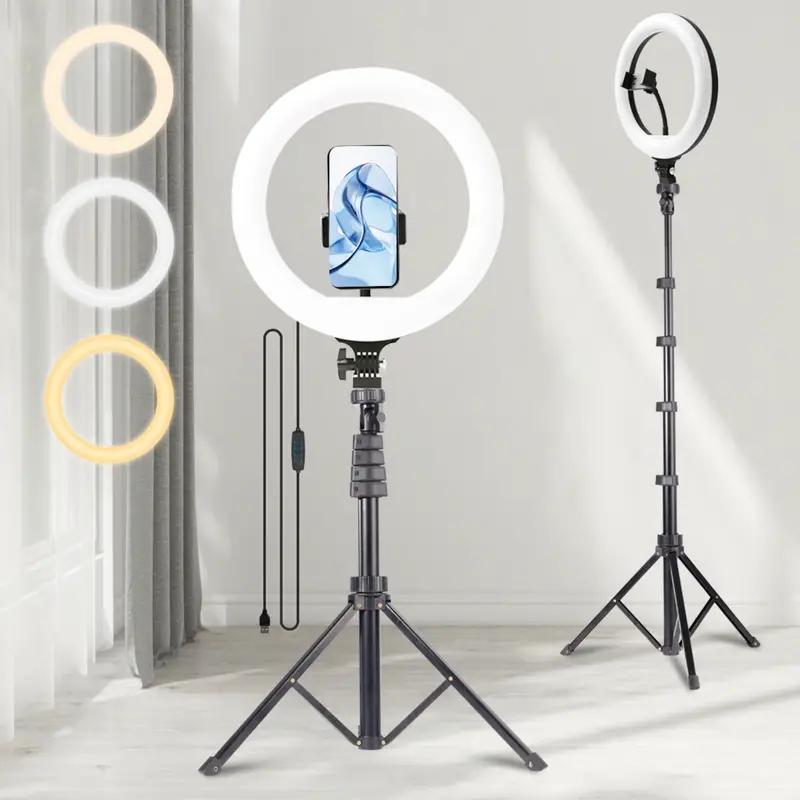 10" Adjustable Led Video Light With Extendable Tripod Stand, Ring Light For 3 Color Mode, Dimmable Selfie Light For Video Recording, Makeup, Photography, Live Stream, TikTok, Youtubers, Content Creator, Cellphone Mount#new years#valentine's