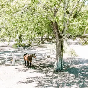 Kodak PIXPRO FZ55 Digital Camera, Black