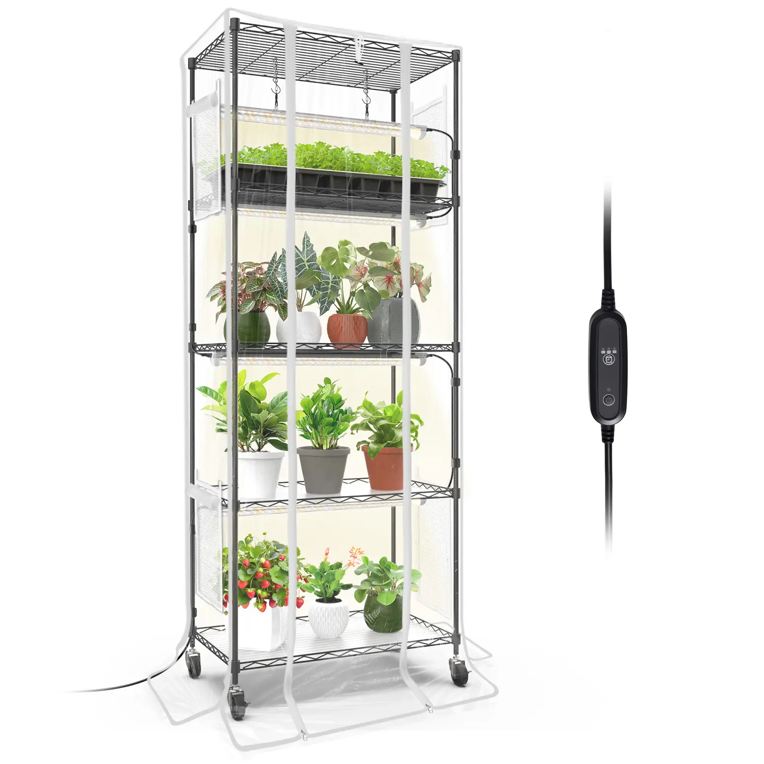 Bstrip Indoor Greenhouse with 24W Full-Spectrum Grow Lights, 59-Inch Mini Grow Tent with Timer & EVA Cover