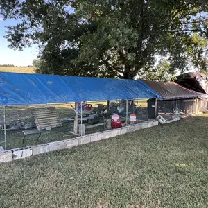 VEVOR Metal Chicken Coop,  9.8x19.6x6.5 ft Large Walk-in Chicken Runs with Cover, Spire Roof Hen House Enclosure with Security Lock, Outdoor Duck Rabbit Cage Poultry Pen for Backyard, Farm, Yard