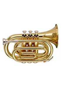 Stagg 21023 Bb Pocket Trumpet - Lacquer Finish