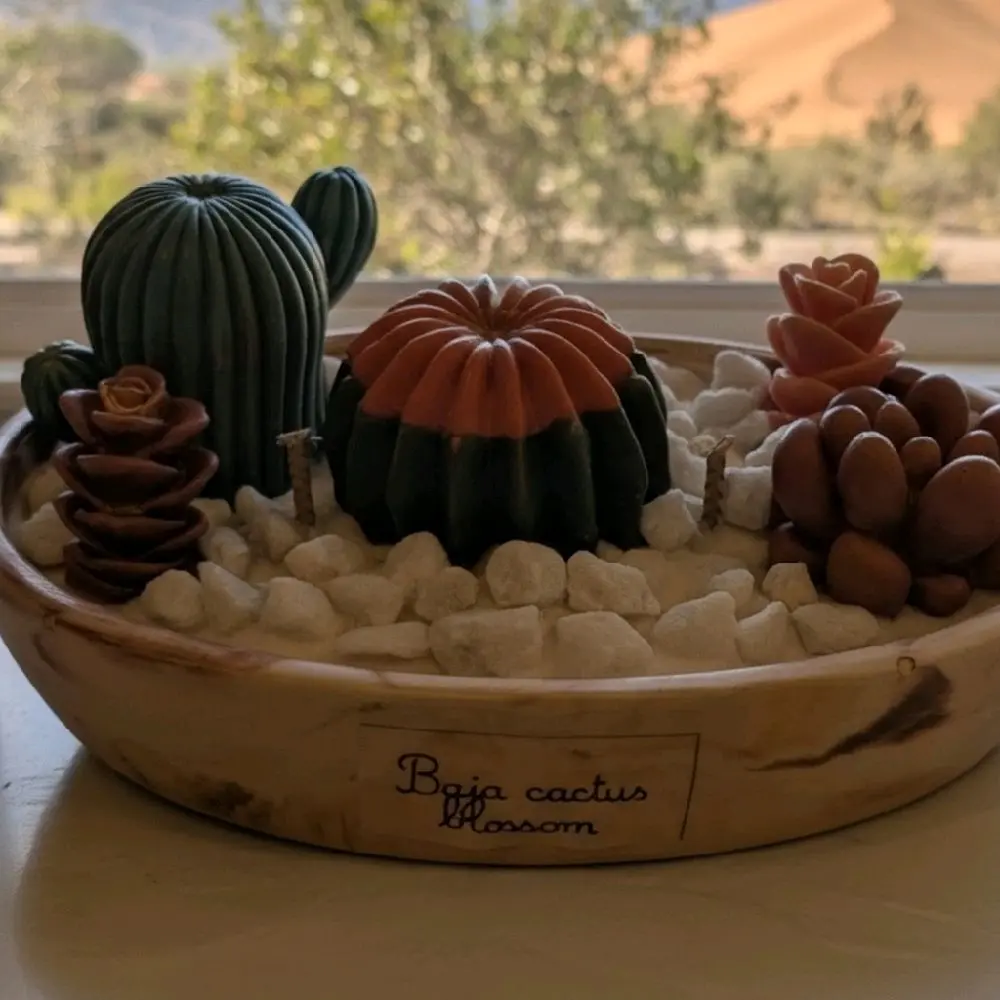 Succulent candle