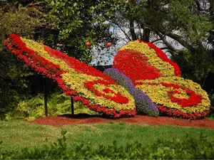 Parkscape Memories - Custom Personalizable Parkscape Experience for Unique Memories and Customizable Preferences