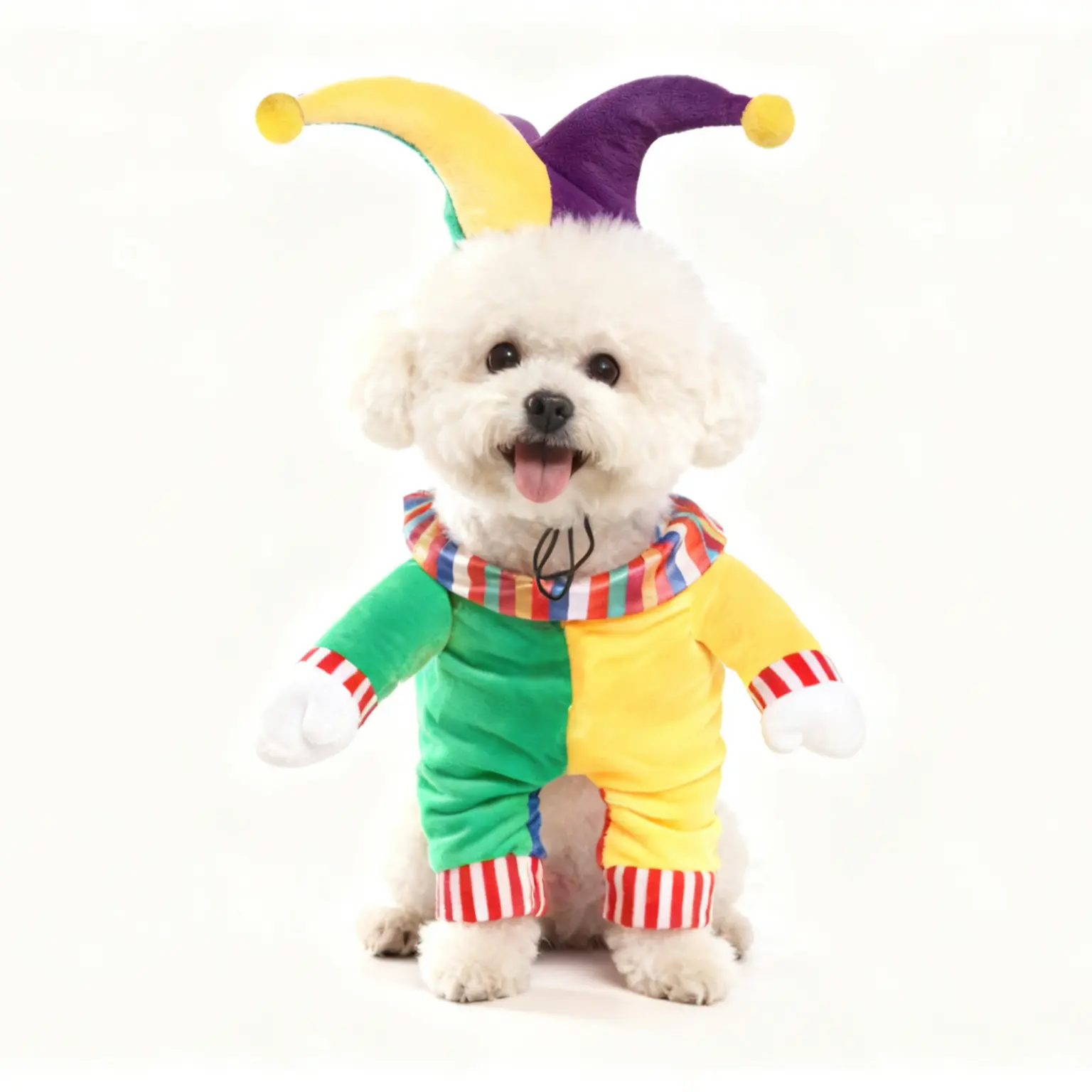 Pets Costume Vibrant Clown Costume for Dogs & Cats - Instant Halloween & Party Star with Iconic Jester Hat