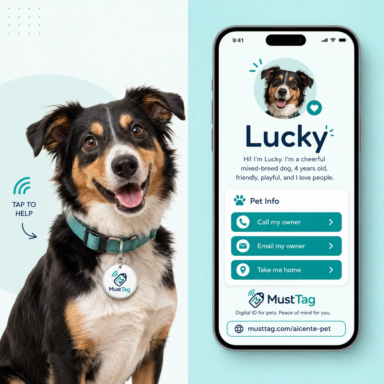 Pet Tag ( Pet Link)