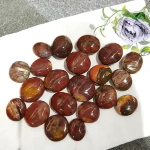 Wood Fossil Palm Stone