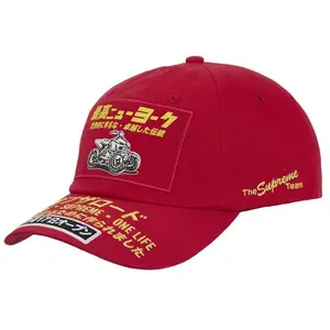 Supreme ATV 6-Panel (FW25), from StockX