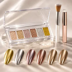 AILLSA Solid Chrome Powder Palette, 6-in-1 No-Mess Formula for Mirror Effect Nails, Nail Art Supplies Kit with Applicator & Brush