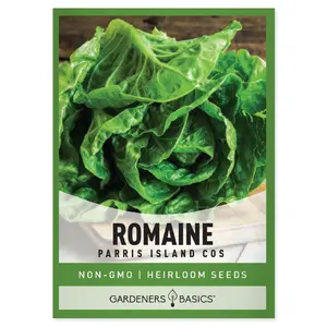 Parris Island Romaine Lettuce Seeds