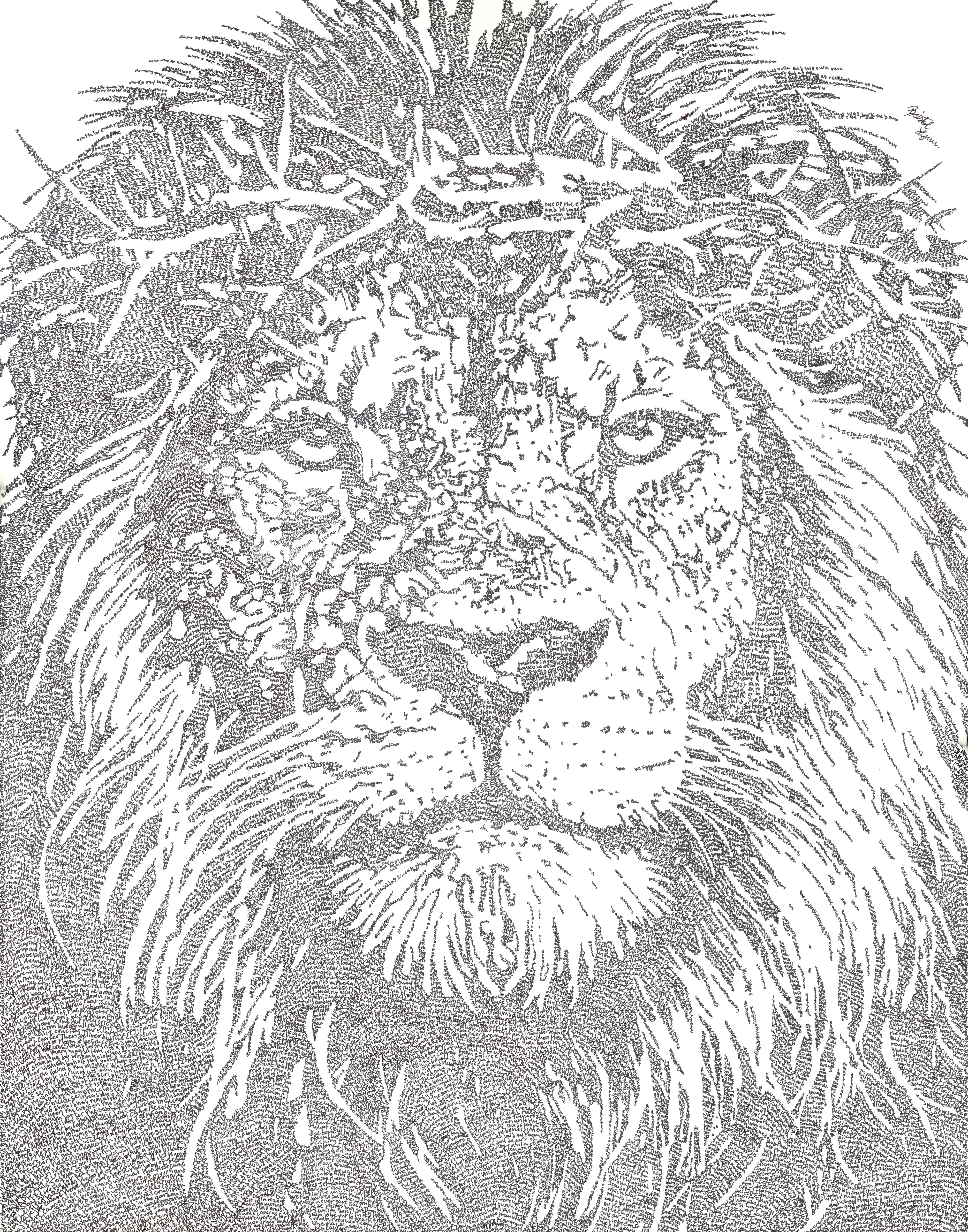 The Lion of Judah- Signed Fine Art Print (Includes COA)
