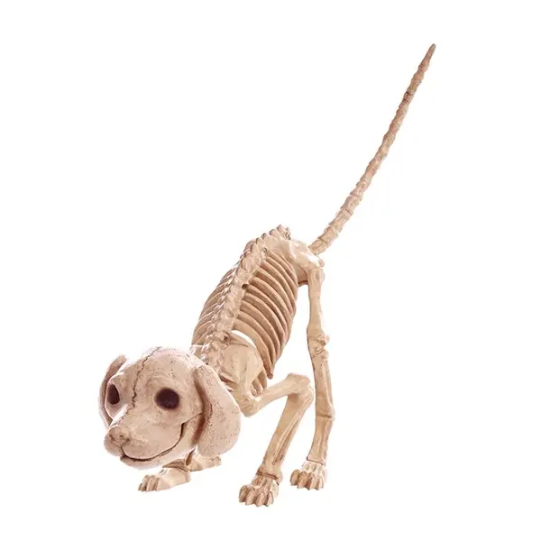 7.5 Inch Puppy Skeleton