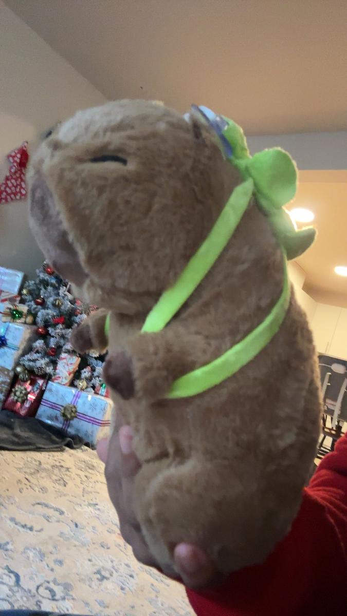 Item: 1 pack (9 inch)