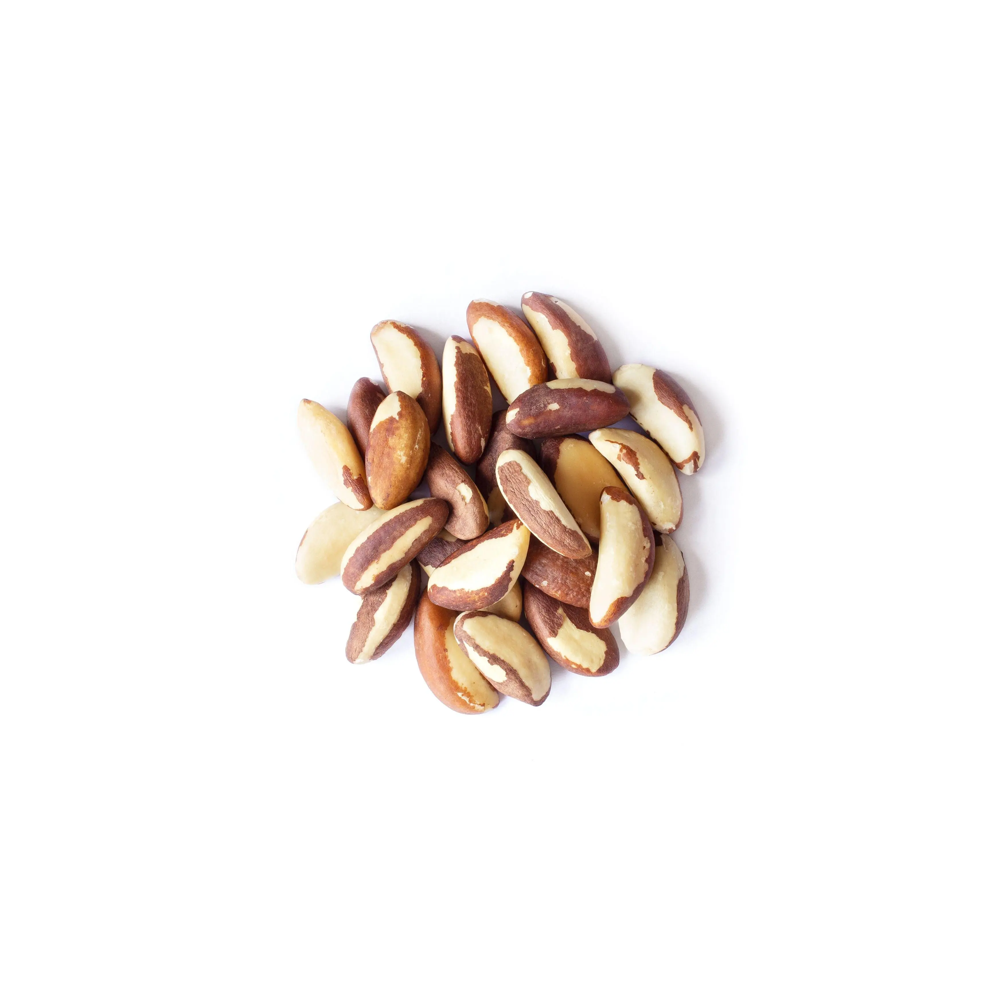 Organic Brazil Nuts - by Food To Live