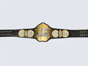 NEW TNA WRESTLING HEAVYWEIGHT CHAMPIONSHIP REPLICA BELT