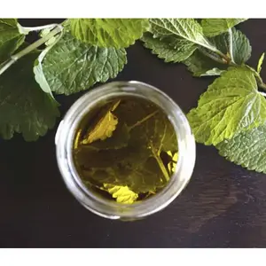 Peppermint Essential Roll-on  Oil Perfume