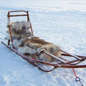 RARE - Nordic Reindeer Hide | Outdoor Weather-Resistant