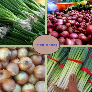 1000+ Onion Seeds for Planting 4 Individual Packs Evergreen White Nebuka Ruby Red Tokyo Long White & Yellow Sweet Spanish Non-GMO USA-Grown Heirloom Vegetable Seeds Collection