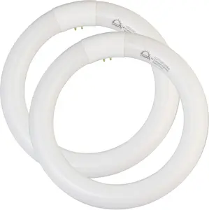 8 inch FC8T9/CW 22W Cool White Circular Fluorescent Light Bulb, Round T9 22 Watt Circline Fluorescent Lamp Bulbs 4100K 1350 Lumens, G10q 4 Pin Base, 2 Pack