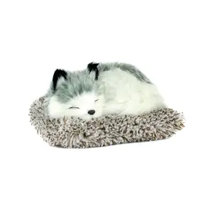 Mini Alaskan Husky Perfect Petzzz