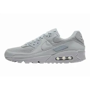 Men's Nike Air Max 90 Wolf Grey/Wolf Grey (CN8490 001)