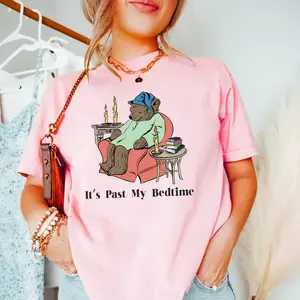 It's Past My Bedtime Sleepy Bear Tshirt, Funny Bear Meme Sweatshirt, Trendy Unisex Tshirt, Gag Shirt for Women, Sarcastic Bear Sweatshirt Casual Top