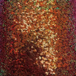 Iridescent All Over Sequins Fabric