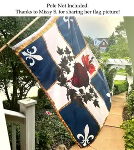 Flag of the Sacred Heart, Sacred Heart Banner, Catholic Devotional Flag, Christian Garden Flag, Religious Outdoor Decor, Faith Based Flag, Jesus Heart Symbol, Catholic Home Decor, Spiritual Yard Banner, Church Event Flag, Religious Polyester Flag