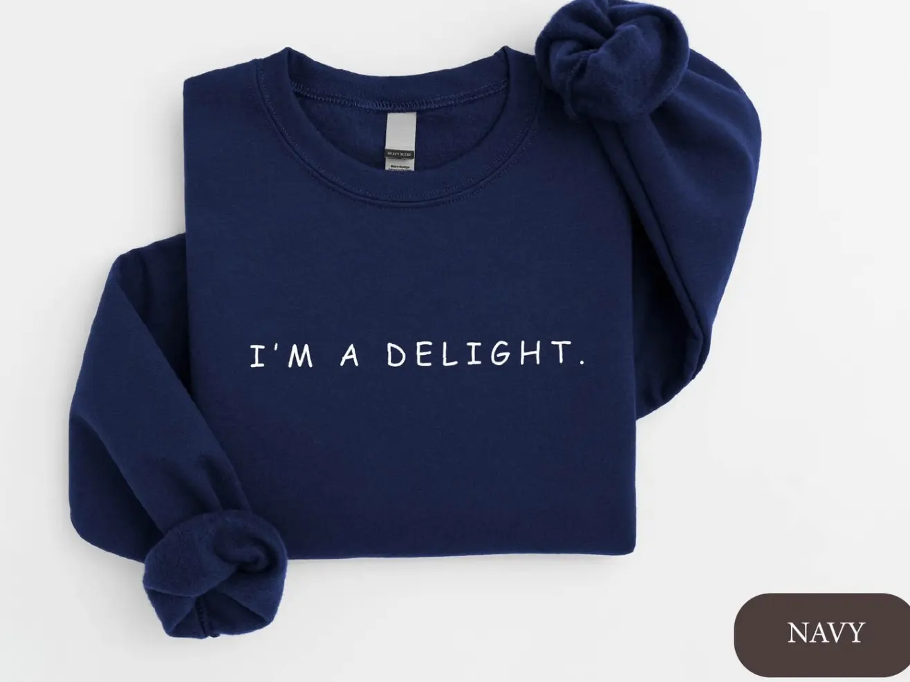 I'm A Delight Sweatshirt, Birthday Gift, Anti Social Hoodie, Minimalist Women's Sweatshirt, Gift For Women, Cute Sweatshirt Gift For Her