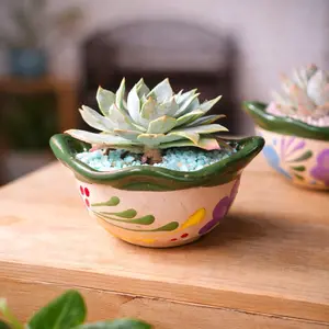 Hand-Painted Talavera Succulent Bowl with Handles 6x3 Living Art Planter for Succulents and Cacti