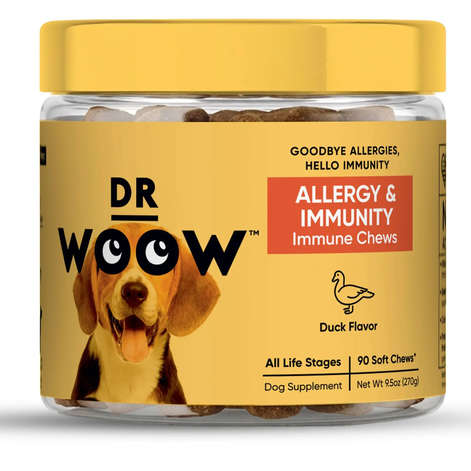 Dr Woow Allergy & Immunity Soft Chew Treats for Dogs - Tasty Chewables with Immune Boost, Itch Relief, Fur & Skin Care Support, Natural
