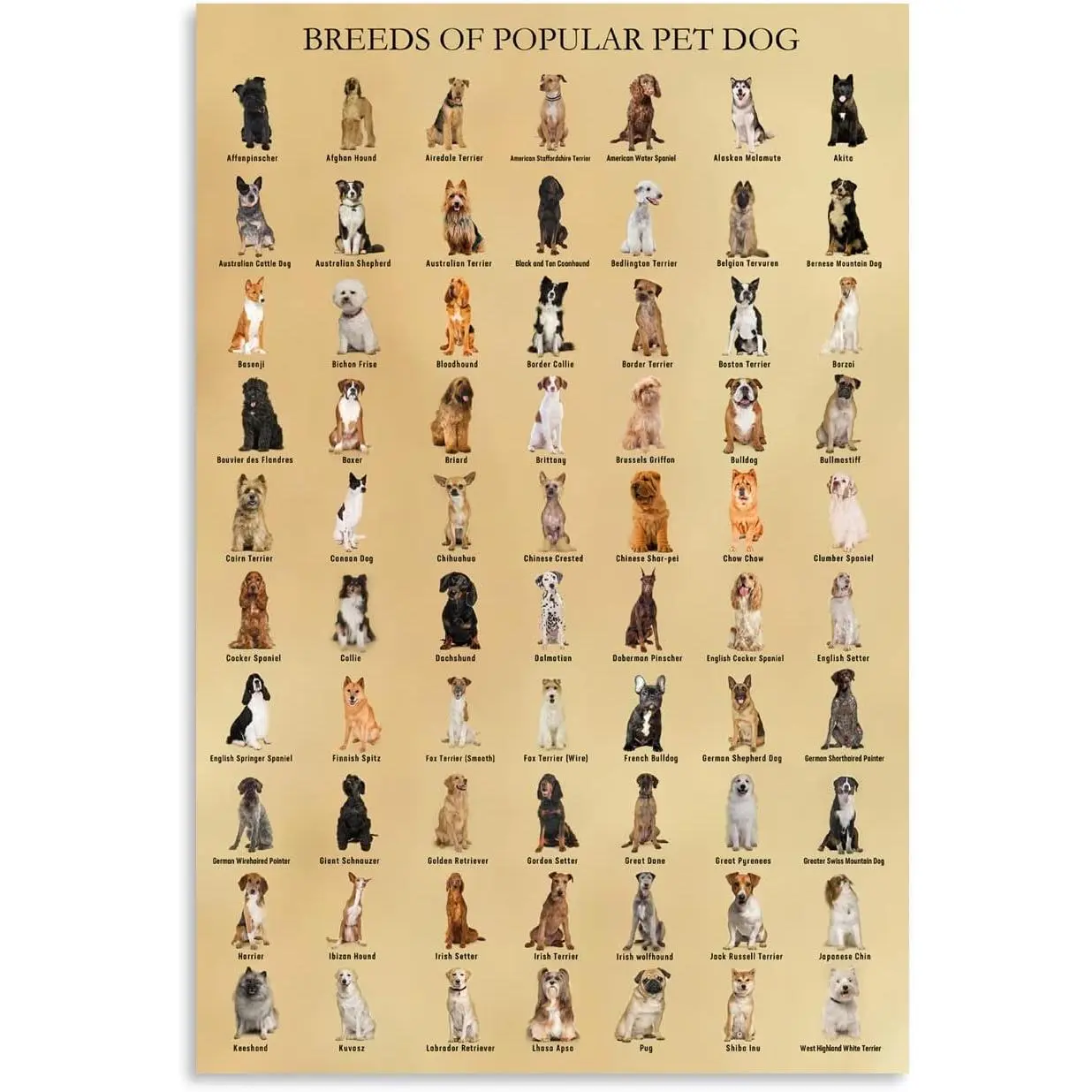 HLLNWB Breeds of Popular Pet Dog Poster Dog Lovers Animals Poster Decor for Kids Bedroom Nursery Office Poster Living Room (Unframe 12x18inch)