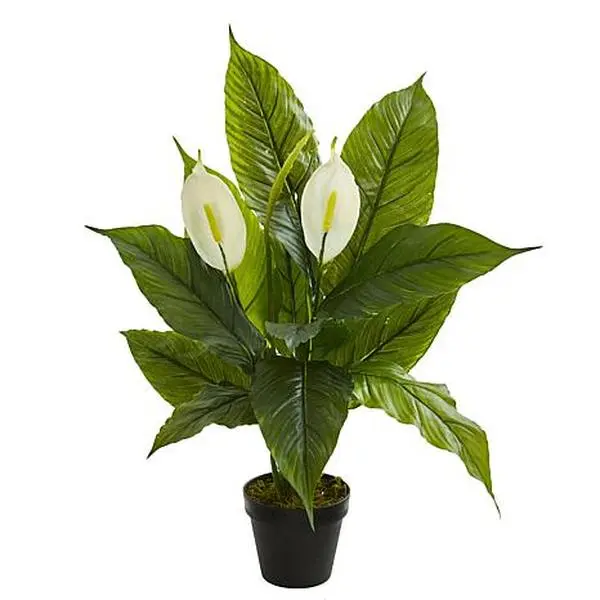 Nearly Natural 26 in. Spathiphyllum  Artificial Plant (Real Touch)