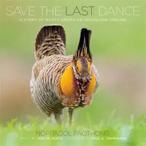 USED-Noppadol Paothong Photography NPP617480 Save the Last Dance by Noppadol Paothong (Hardcover)