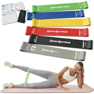 6-Levels Resistance Exercise Loop Bands Set - Elastic Workout Bands for Yoga, Strength , Physical  - Guide, Fitness Card & Carry Bag