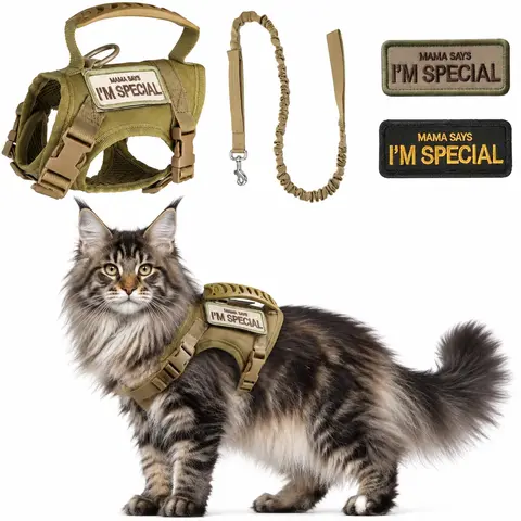 Non-Customized Solid Pet Safety Walking Harness & Hands-Free Leash Set - Adjustable, Waterproof, Breathable Mesh, Anti-Escape Tactical Chest Harness for Summer Puppy Training, Dry-Keeping Dog & Cat Accessory, Safety Harness