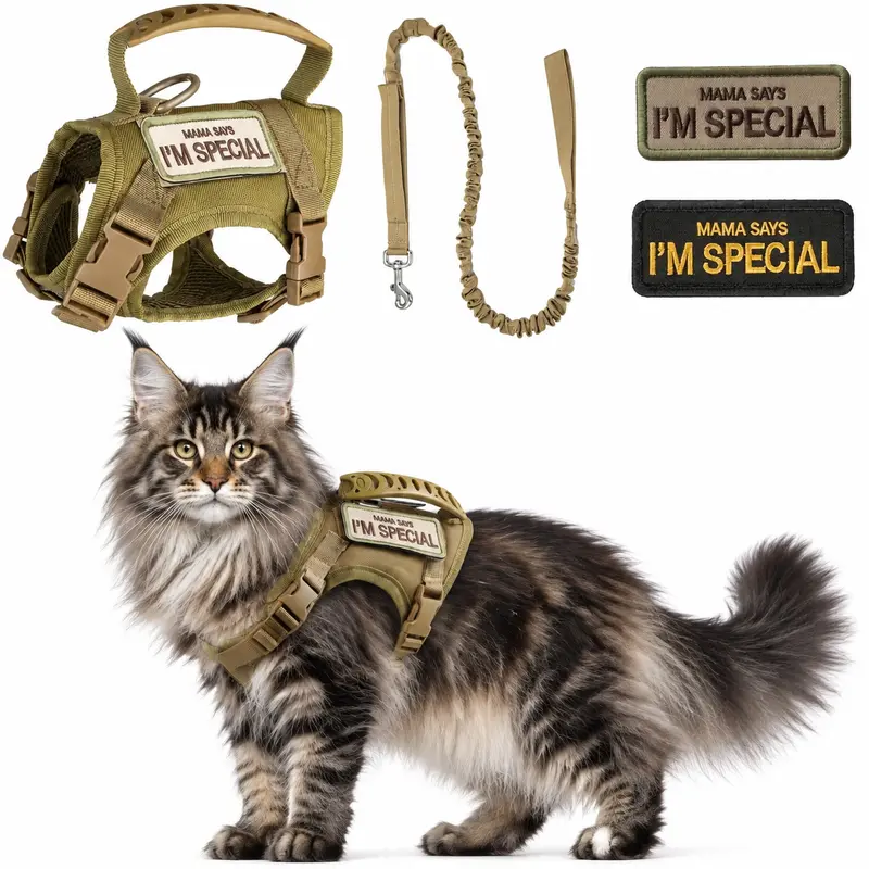 Non-Customized Solid Pet Safety Walking Harness & Hands-Free Leash Set - Adjustable, Waterproof, Breathable Mesh, Anti-Escape Tactical Chest Harness for Summer Puppy Training, Dry-Keeping Dog & Cat Accessory, Safety Harness