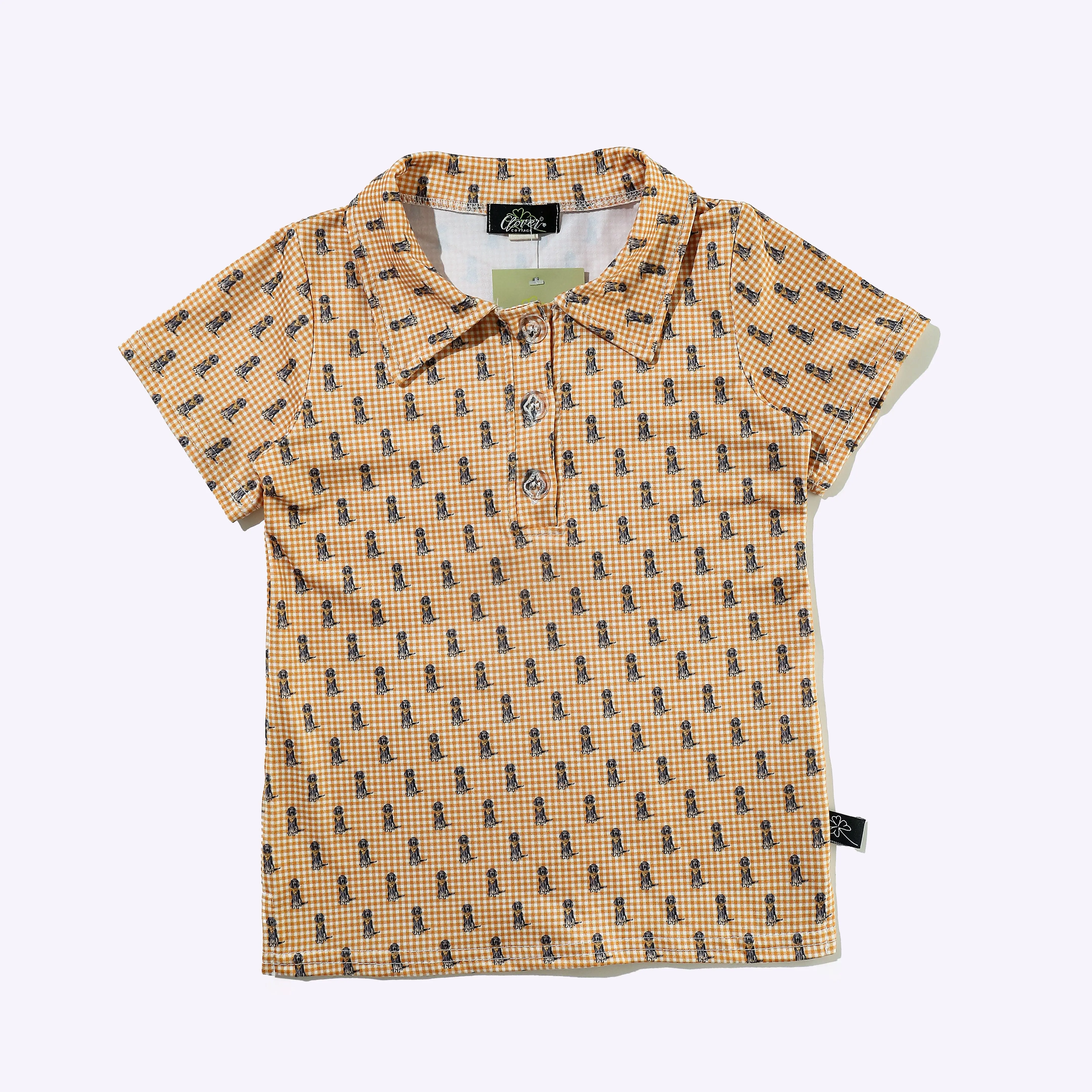 SS Checkered Smokey Collar Shirt