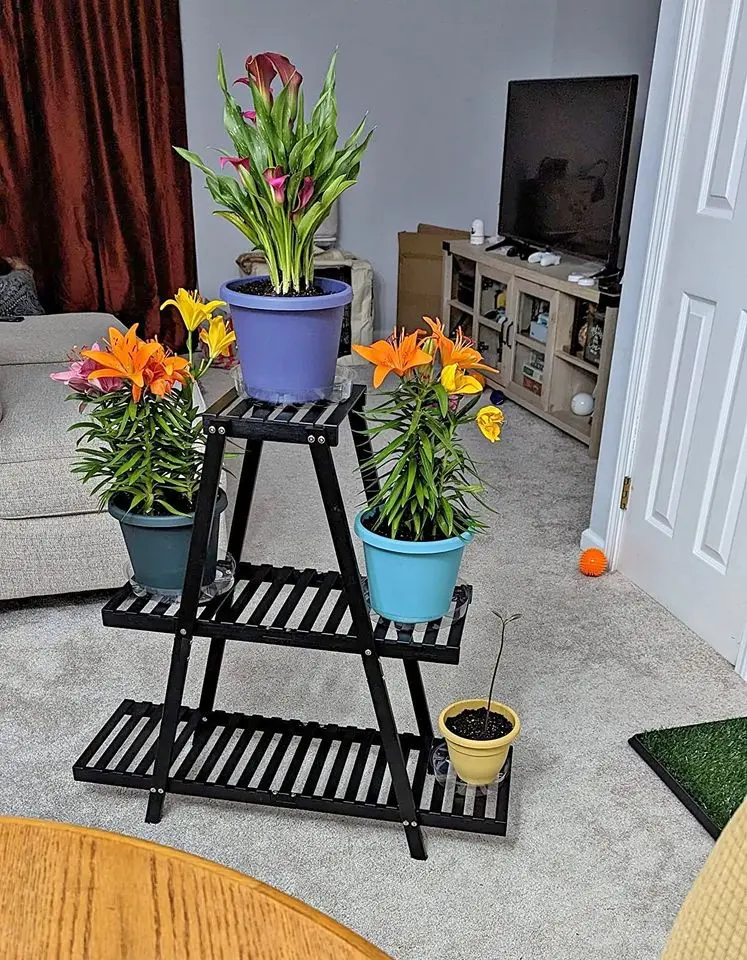3 Tier 8 Potted Flower Holder Ladder Plant Rack For Multiple Table Plant Pot Bamboo Organiser