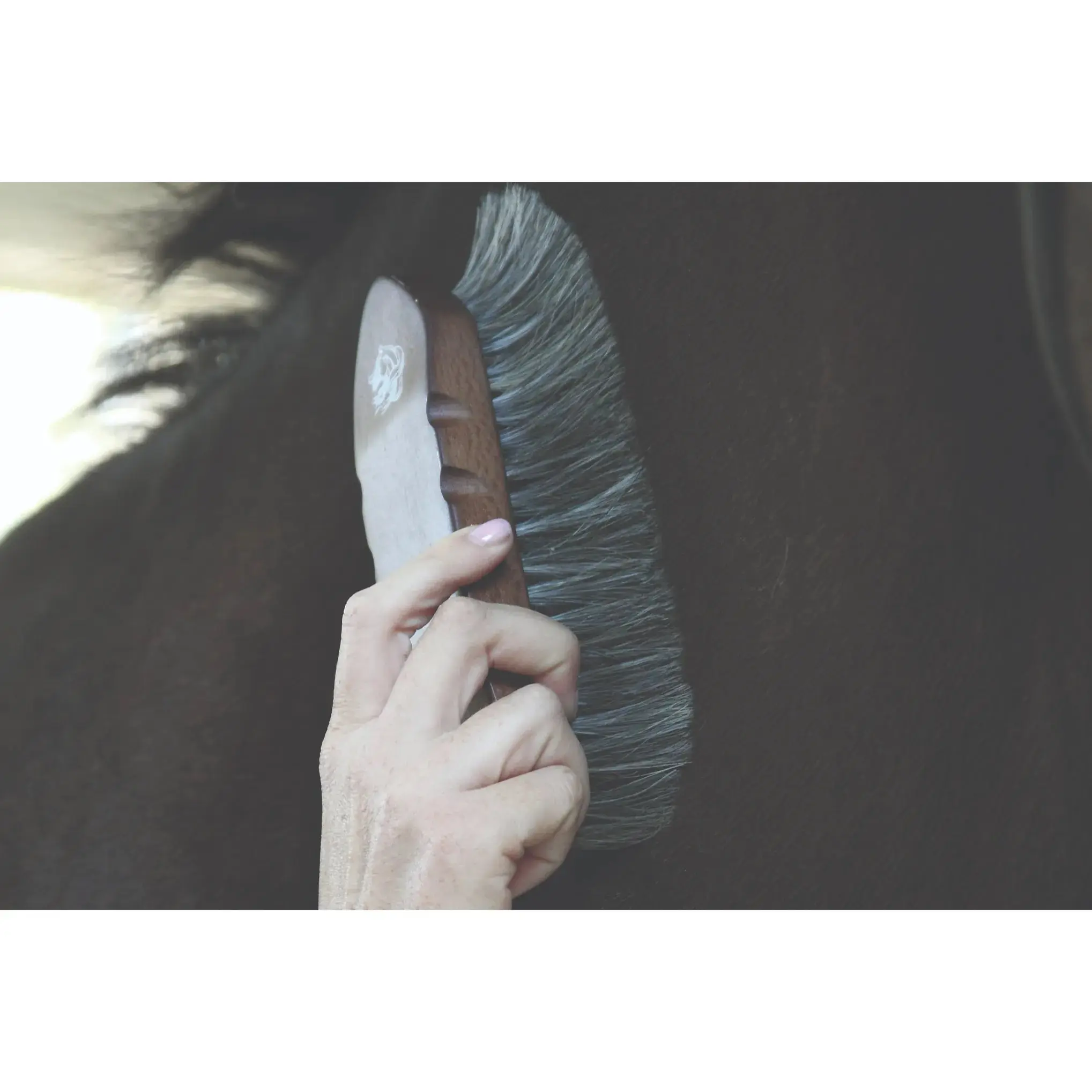 Professional's Choice Large Dandy Wooden Horse Brush W210 - Natural Horsehair Bristles, Ergonomic Paulownia Wood Handle