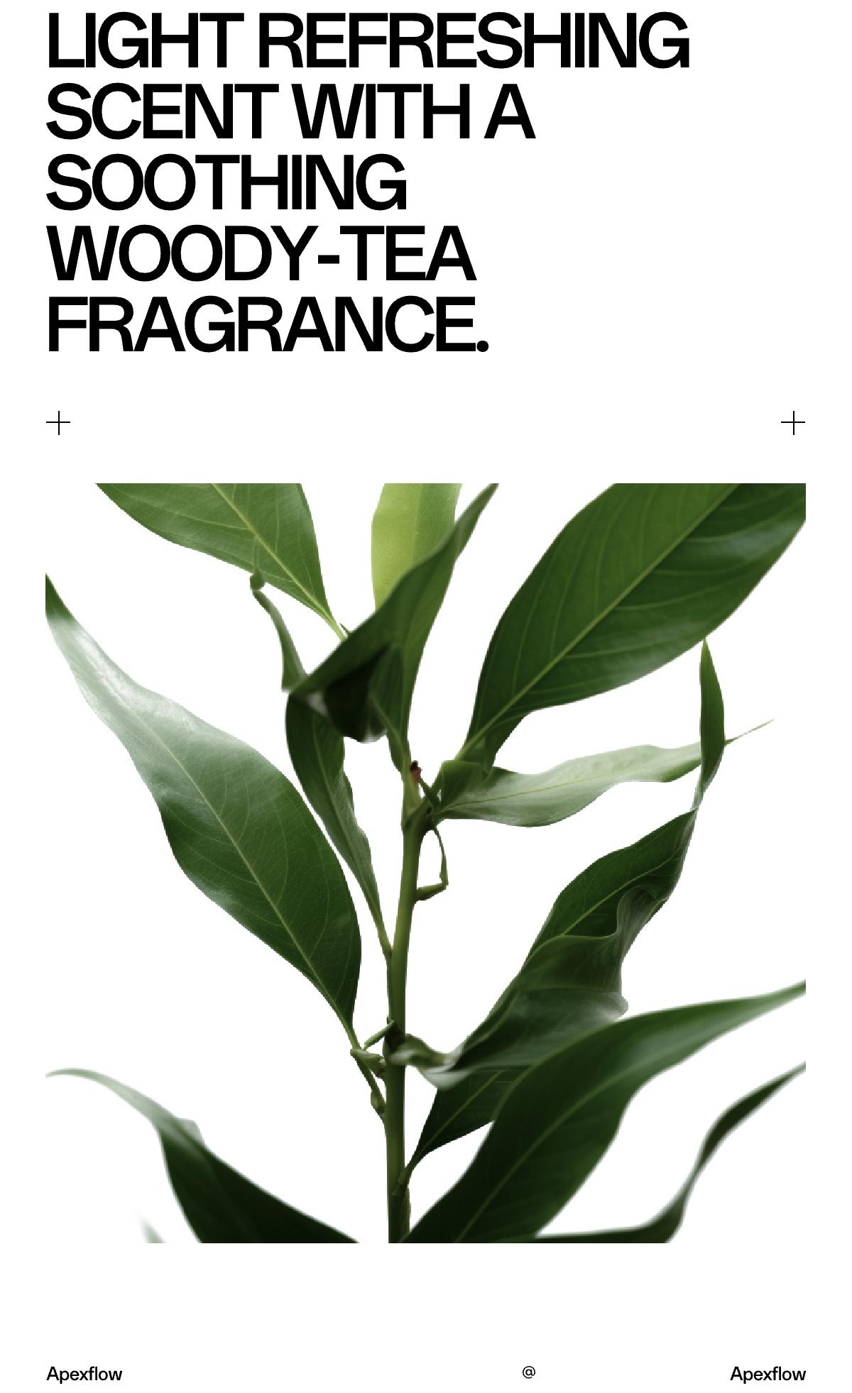 ApexFlow Texture Hair Clay-Premium Men’s Hair Styling Clay for a Super High Hold, Matte Finish – Clay & Wax Hybrid, Ideal Texture Product for Straight, Wavy and Thick Hair Types – Travel Size