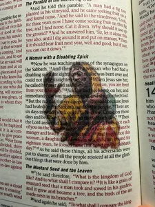 Jesus Christ Parables and Miracles - Clear Scripture Stickers