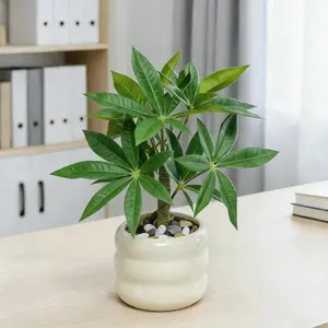 Artificial Money Tree Plant, Small Fake Potted Plants in Ceramic Pot, INS Tabletop Decor Accessories for Office, Side Table,Nightstand, Entryway,Bathroom, Living Room, Coffee Bar